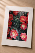 Cactus Flower - Matted