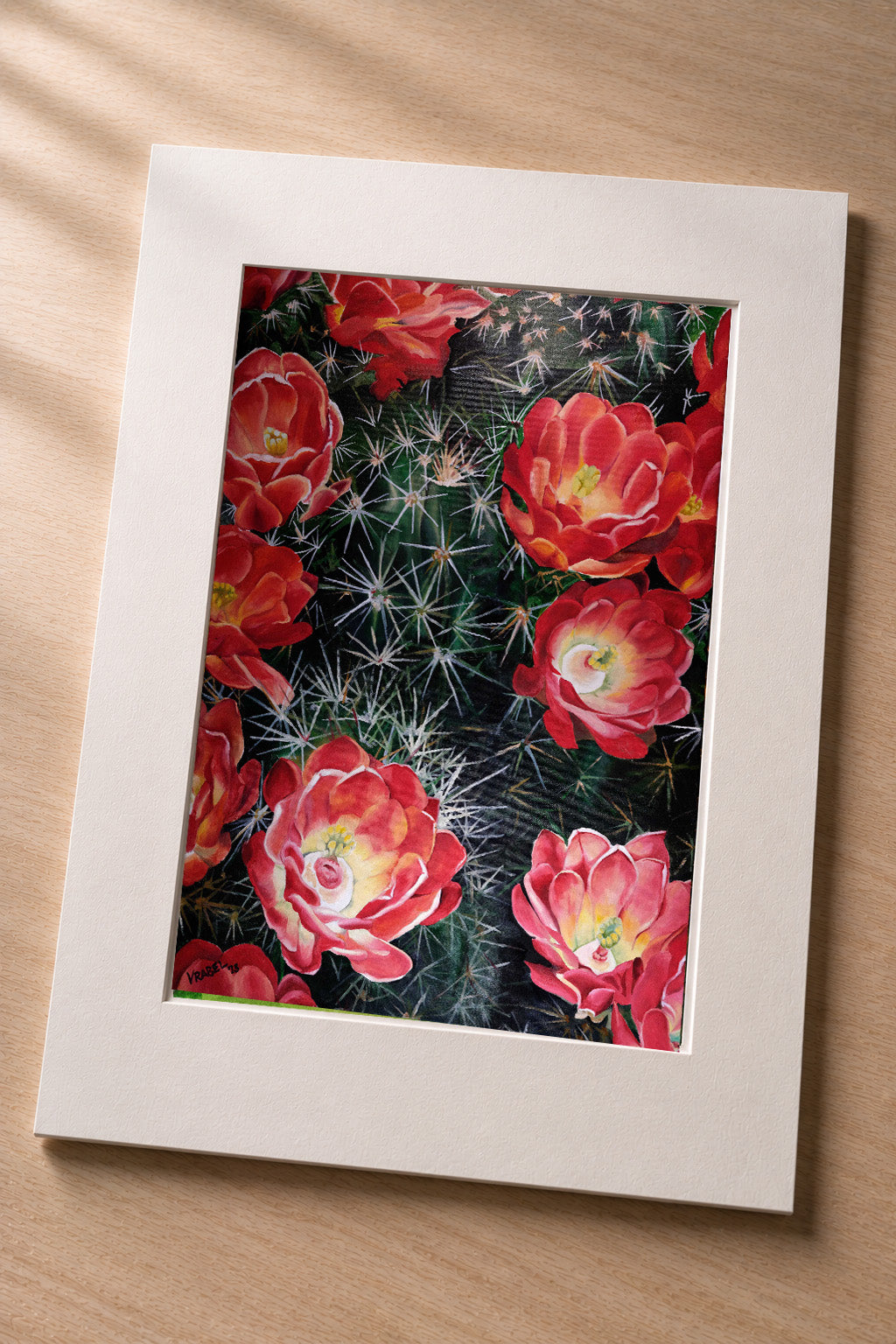 Cactus Flower - Matted