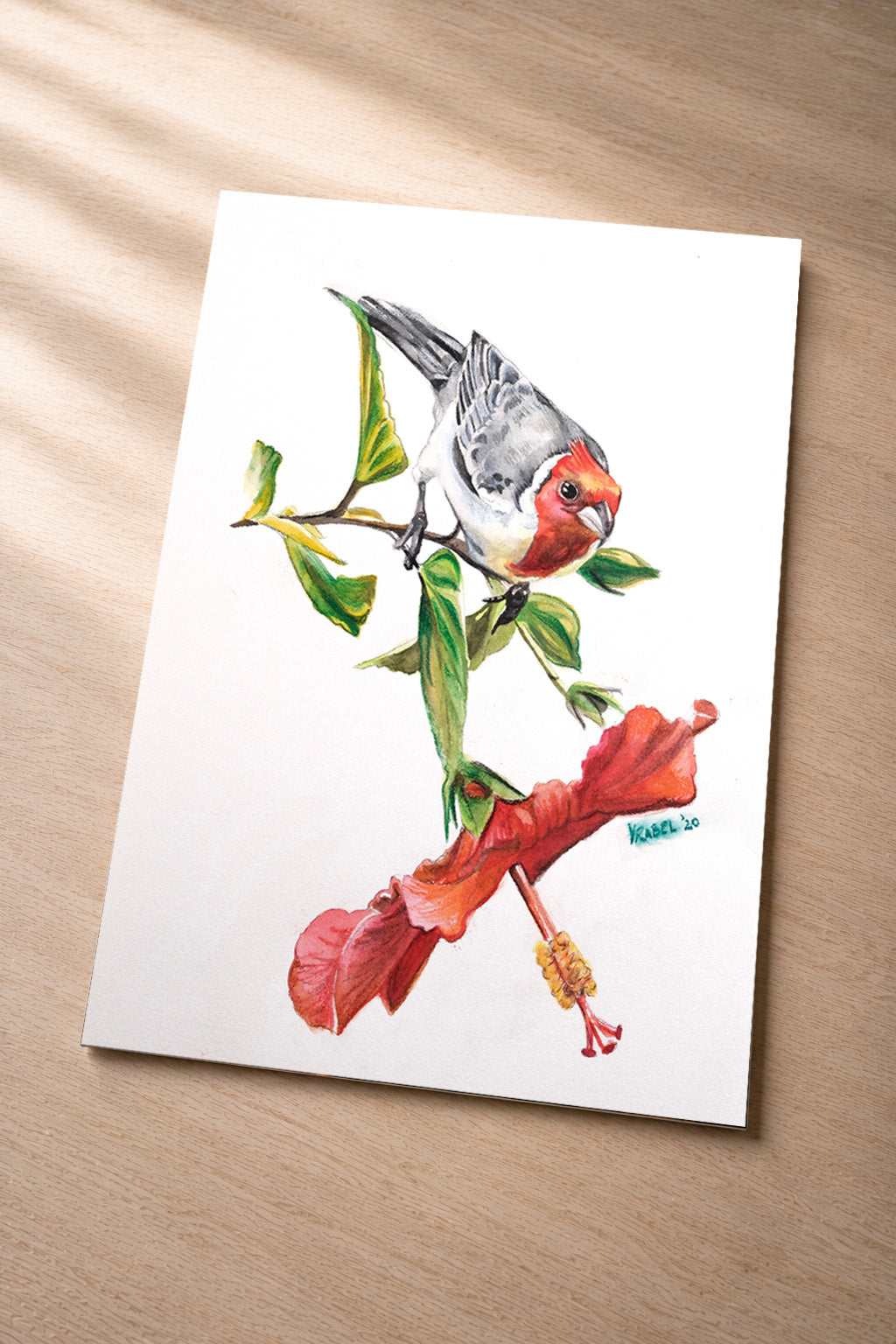 Red Crested Cardinal – Fine Art Photo Print