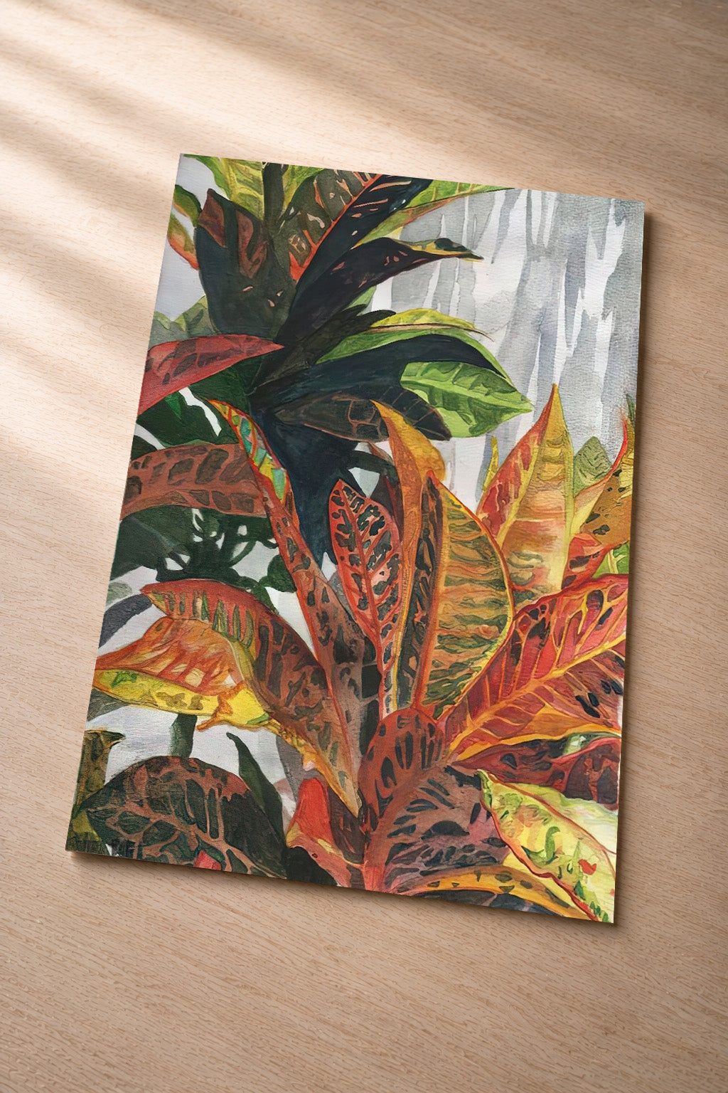 Croton at our Hale – Fine Art Photo Print