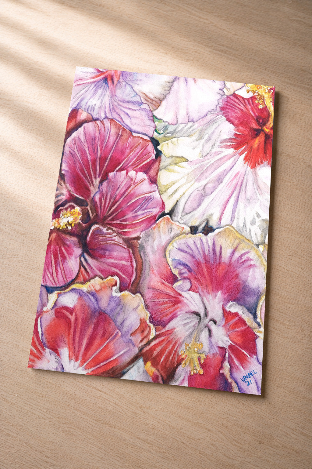 Hybrid Hibiscus – Fine Art Photo Print