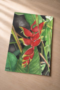 Red Lobster Claw – metal fine art print of a heliconia in watercolor by Patti Vrabel