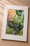 Leaves at Waimea Valley - Matted