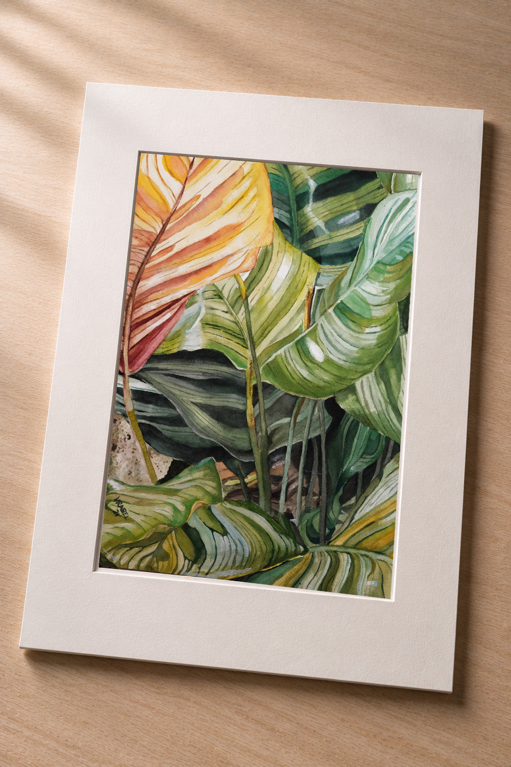 Leaves at Waimea Valley - Matted